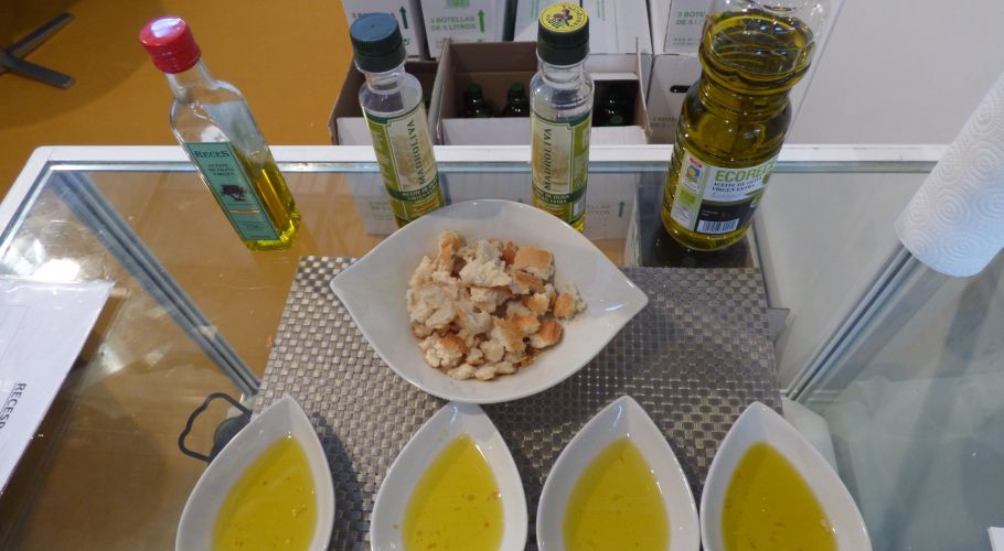 37379240 275610696506755 7284114983254753280 o