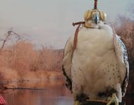 42286071 323411255060032 239369071550791680 o